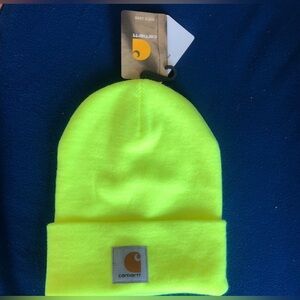 Nwt A19 mens carhart beanie